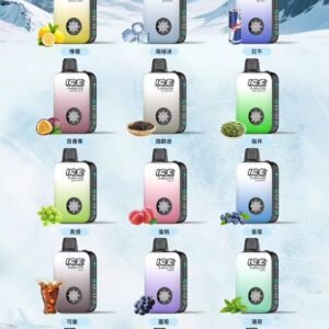 ICE 10,000 酷涼進化 自定義冷冽層次 3% 絲滑擊喉感 850mAh 大電量可充電 獨家涼度調節設計 Mesh 芯擊喉感超順暢 台灣現貨