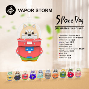 VAPOR STORM 太空狗 8000 超萌造型12ml 抽超久 12ml 恆壓穩定供油 搭載高效快充架構 Type-C 高效補給續航 台灣現貨