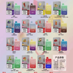 LANA 5000Puffs 拋棄式設備 純粹視覺美學工藝 800mAh 穩定動力輸出 極致純淨手感 CP 值怪獸 台灣現貨
